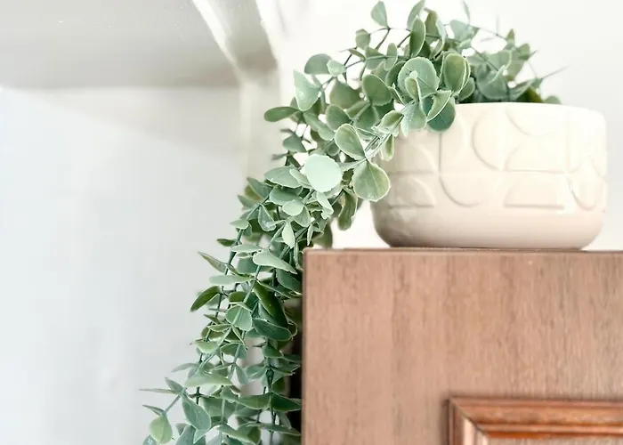 Seaside 2br 아파트 *