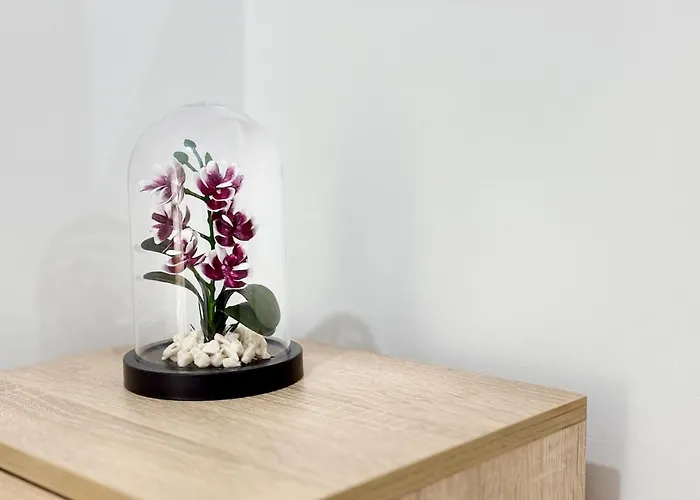 Seaside 2br 아파트 *