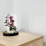 Seaside 2br Apartamento *