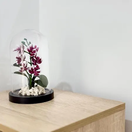 Seaside 2br 아파트 *